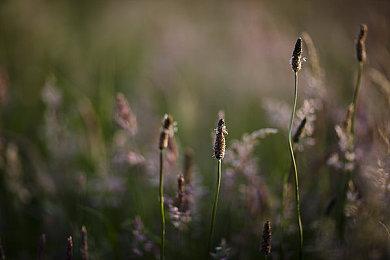 《英雄连合集》将于10月12日登陆Switch